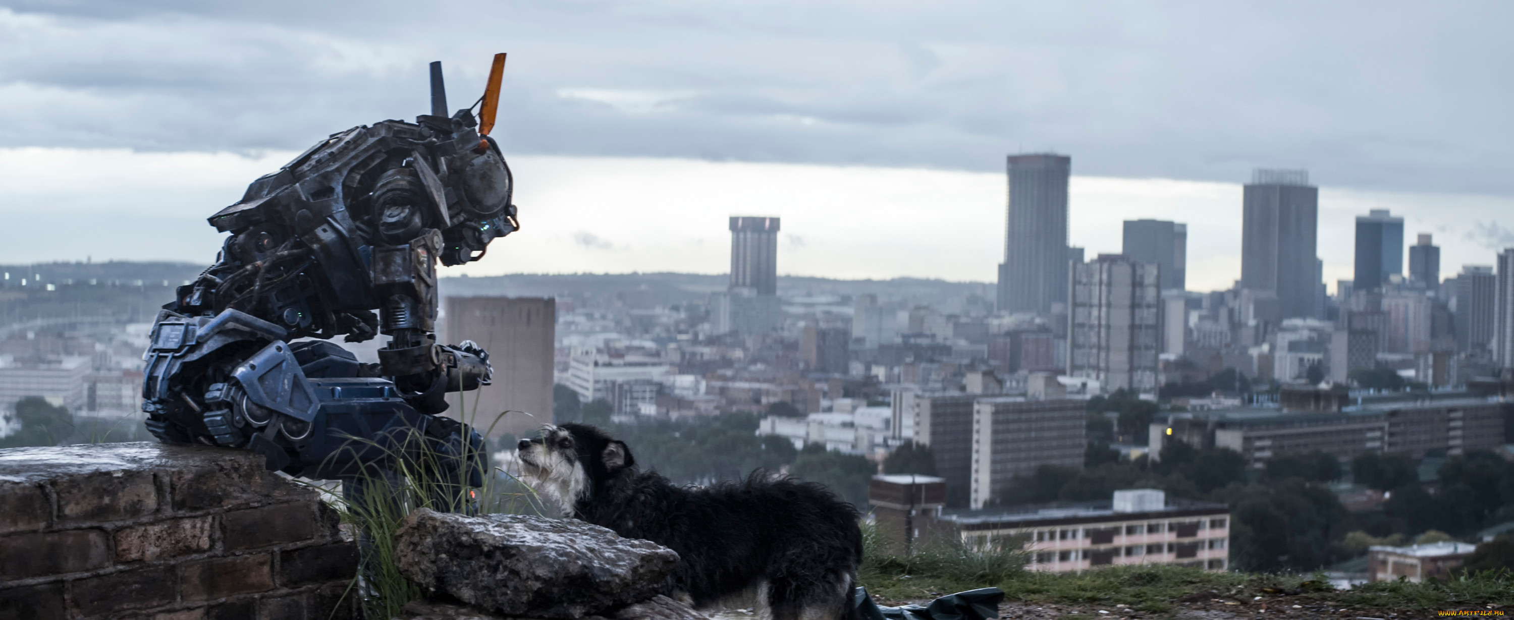  , chappie
